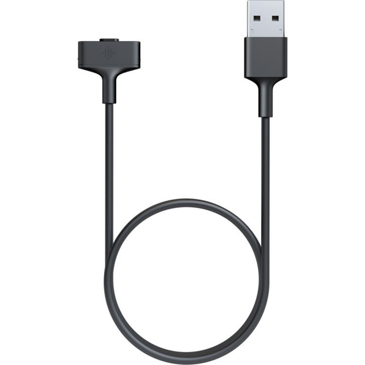 Fitbit Ionic Charging Cable - Black (FB164RCC)